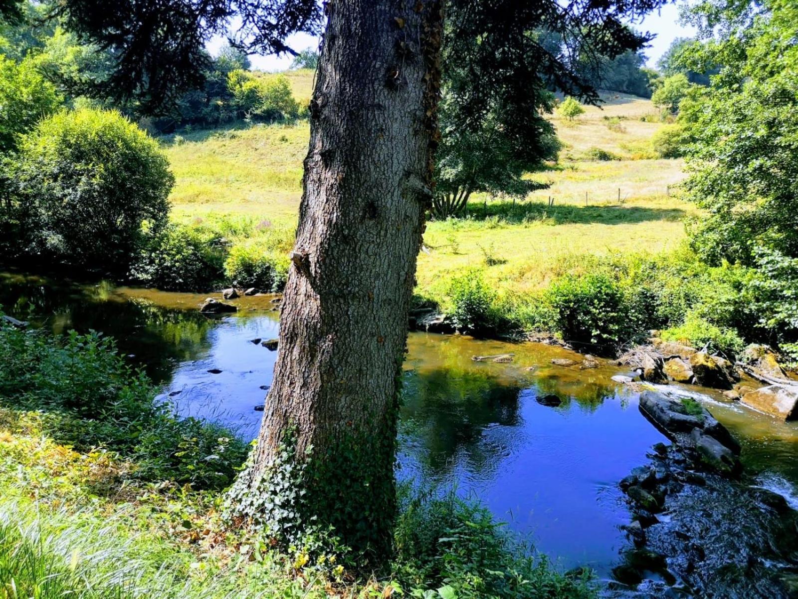 Villa Combade Masléon Zewnętrze zdjęcie